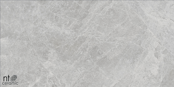 Керамогранит NT Ceramic Bright and Shiny Tundra Pearl matt 60x120