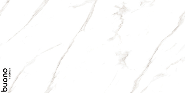 Керамогранит Buono Ceramica Marble Carrara Livia glossy 60x120