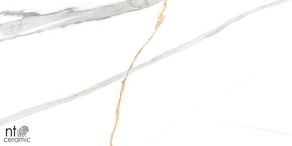 Керамогранит NT Ceramic Marmo Maritaca Statuario Ultra White 60x120