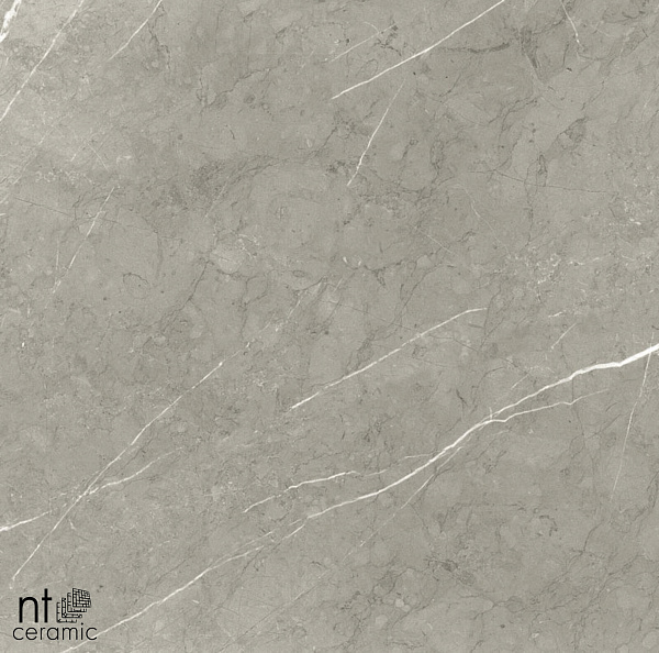 Керамогранит NT Ceramic Bright and Shiny NTT9102 60x60