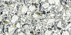 Керамогранит Atlas Concorde Forte Dei Marmi Quark Ceppi Apuani Forest lappato 80x160