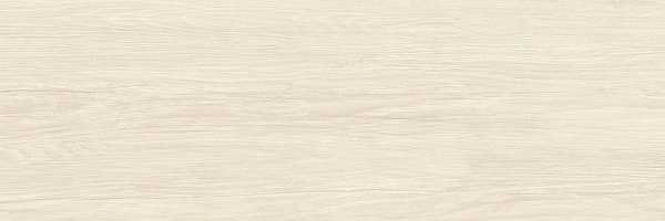 Плитка Alma Ceramica Patio TWU3090PAT04R матовая 30x90