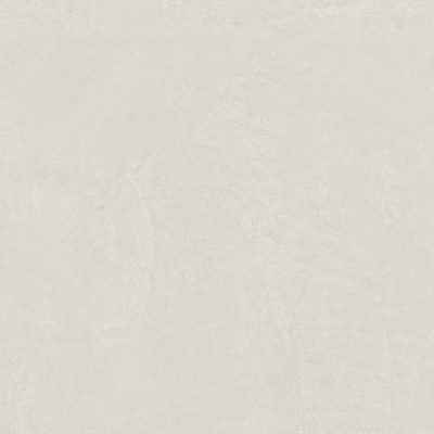 Керамогранит Atlas Concorde Rinascente Resin White matt 120x120