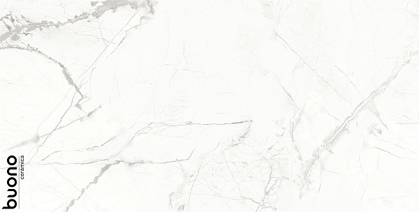 Керамогранит Buono Ceramica Marble Statuario Alba glossy 60x120