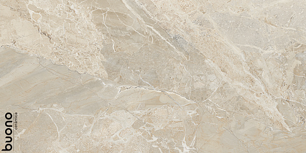 Керамогранит Buono Ceramica Stones Irwin Stones glossy 60x120