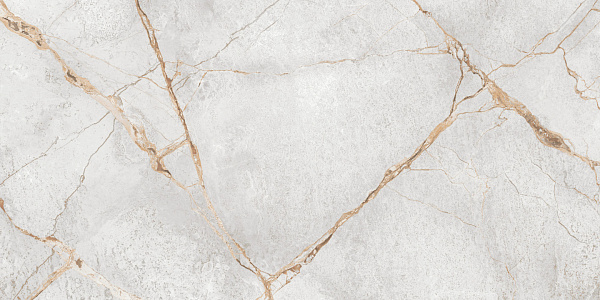Керамогранит LCM Special Marmo Gray полированный 60x120