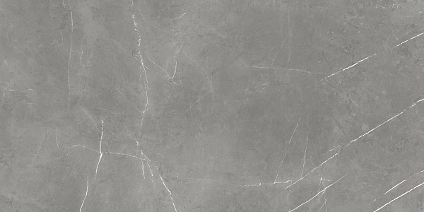 Керамогранит Atlas Concorde Forte Dei Marmi Elegant Grey cerato 60x120
