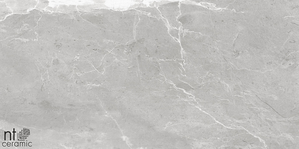 Керамогранит NT Ceramic Quarta Grey Slate Grey 60x120