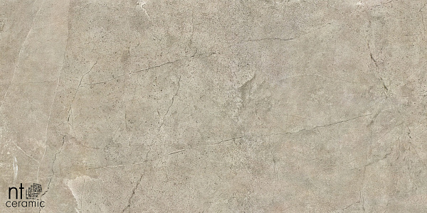 Керамогранит NT Ceramic Quarta Grey NTT9021 60x60