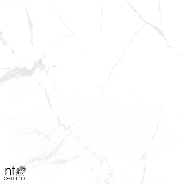 Керамогранит NT Ceramic Marmo Callacata carving 60x60