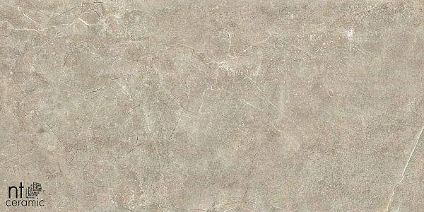 Керамогранит NT Ceramic Quarta Grey NTT9021 60x60