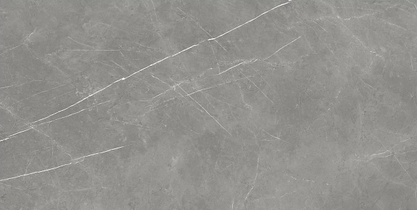 Керамогранит Atlas Concorde Forte Dei Marmi Elegant Grey lappato 80x160