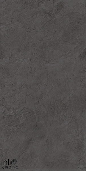 Керамогранит NT Ceramic Granite Obelisk Gris 60x120