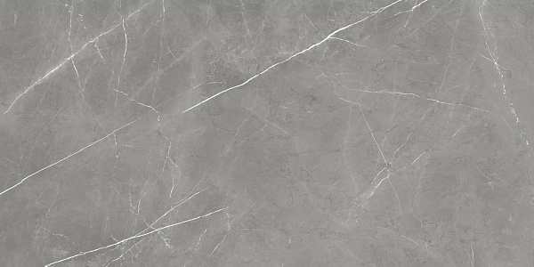 Керамогранит Atlas Concorde Forte Dei Marmi Elegant Grey cerato 60x120