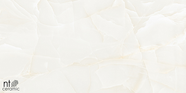Керамогранит NT Ceramic Onyx Predo 60x120