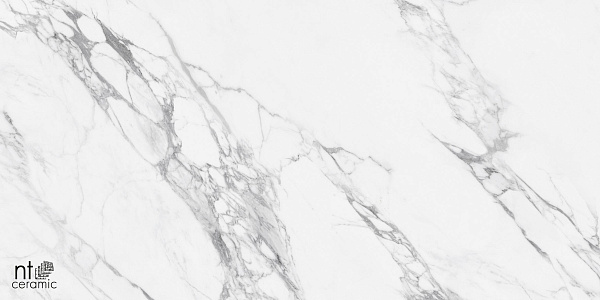 Керамогранит NT Ceramic Marmo Artic statuario carving 60x120