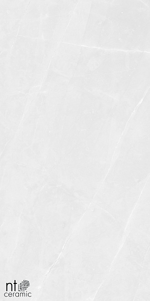 Керамогранит NT Ceramic Granite Limestone White Structura 60x120