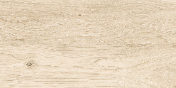 Керамогранит Alma Ceramica Brentwood GFA3060BWD04R матовый 30x60