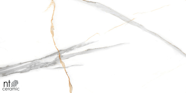 Керамогранит NT Ceramic Marmo Maritaca Statuario Ultra White 60x120