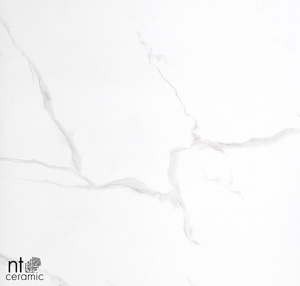 Керамогранит NT Ceramic Marmori NTT9402 60x60