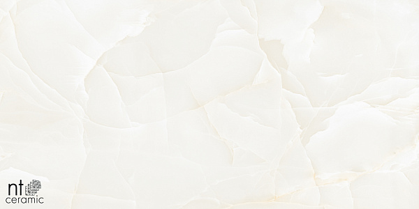 Керамогранит NT Ceramic Onyx Predo 60x120