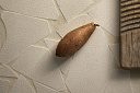 Nok