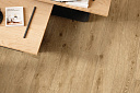 Wine Oak