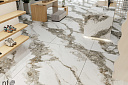 Atlas Home